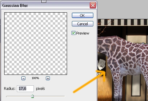 Creation of The Zoo!: Step 2